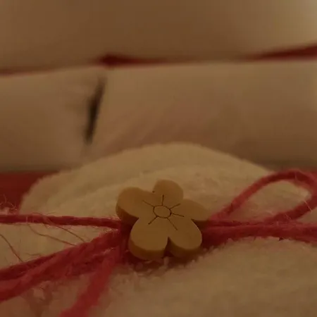 Апартаменты Terrazza Zefiro *